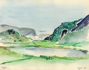 Frog Marsh